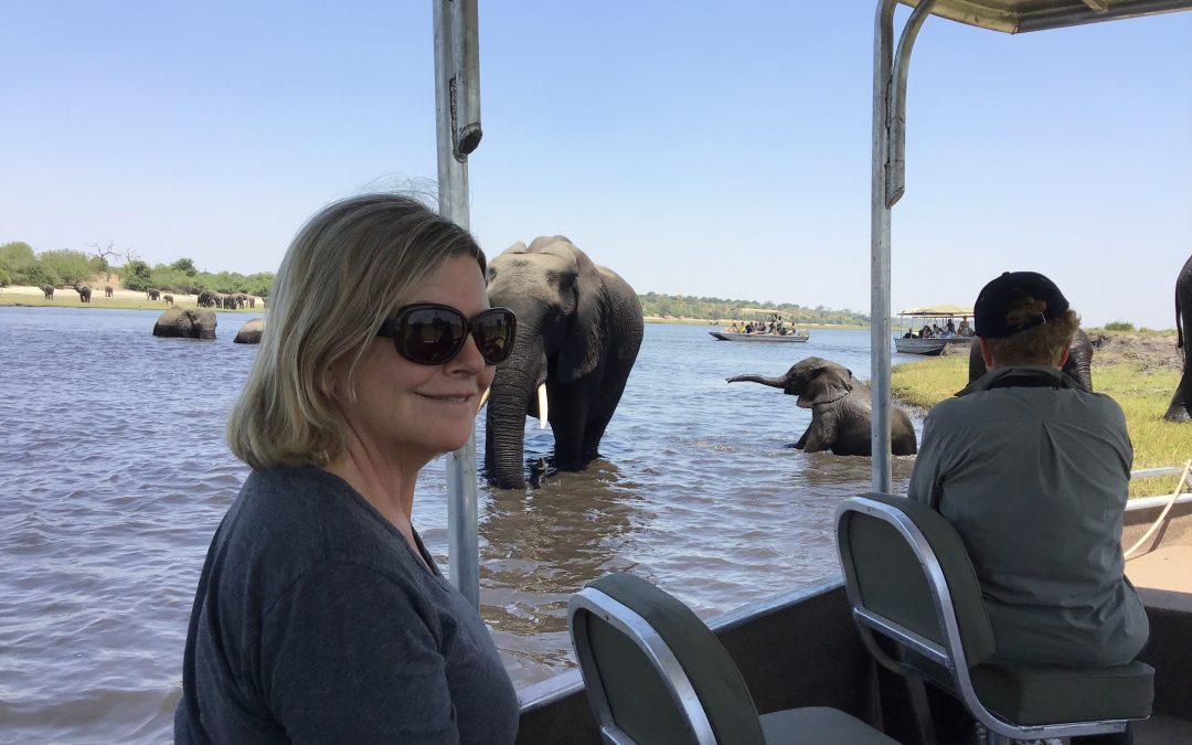 Chobe River – another great day